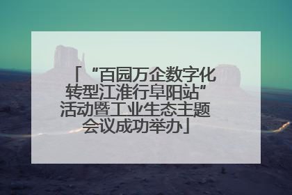 “百园万企数字化转型江淮行阜阳站”活动暨工业生态主题会议成功举办